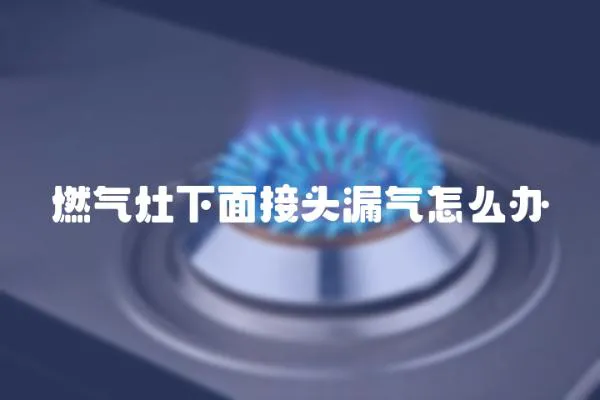 燃氣灶下面接頭漏氣怎么辦