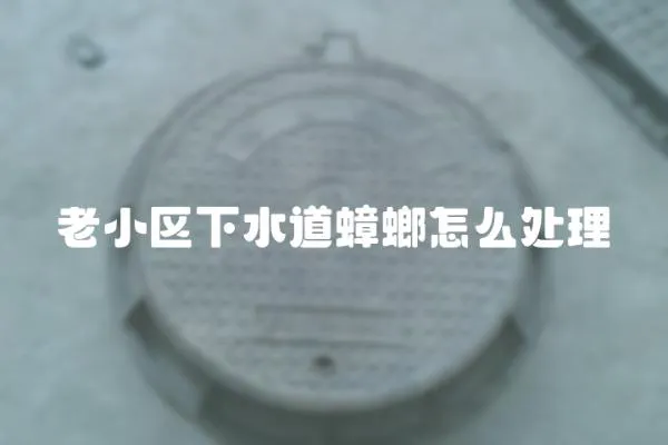 老小區下水道蟑螂怎么處理