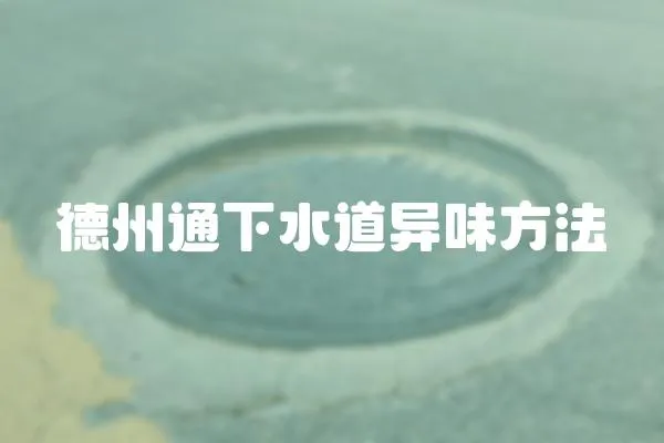 德州通下水道異味方法