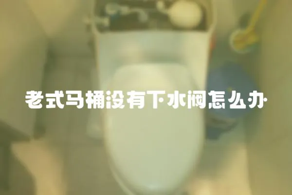 老式馬桶沒有下水閥怎么辦