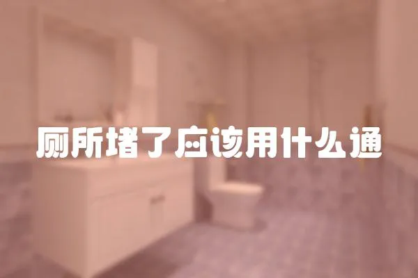 廁所堵了應該用什么通