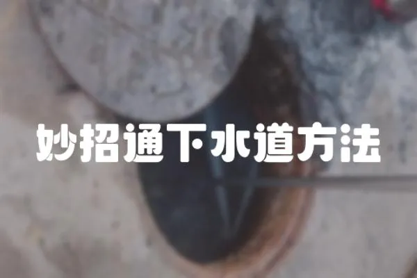 妙招通下水道方法