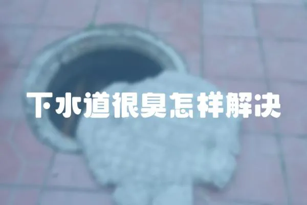 下水道很臭怎樣解決