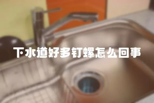 下水道好多釘螺怎么回事
