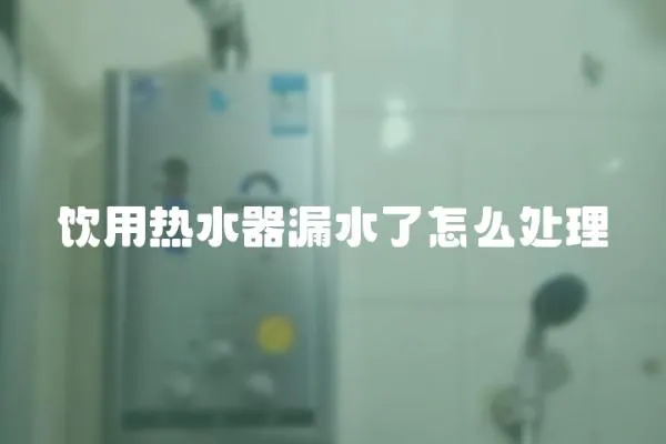 飲用熱水器漏水了怎么處理