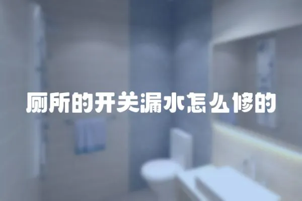 廁所的開關(guān)漏水怎么修的