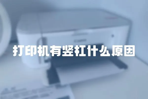 打印機有豎杠什么原因