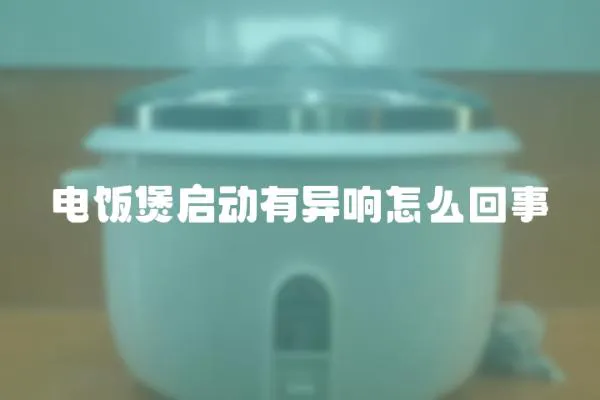 電飯煲啟動(dòng)有異響怎么回事