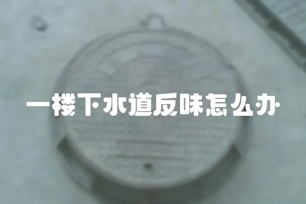 一樓下水道反味怎么辦