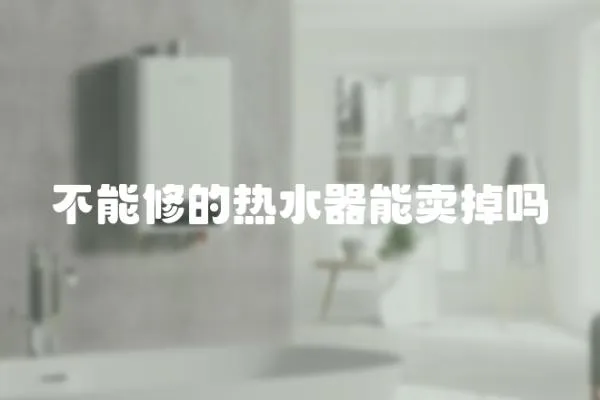不能修的熱水器能賣掉嗎