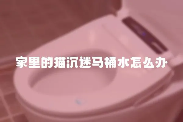 家里的貓沉迷馬桶水怎么辦