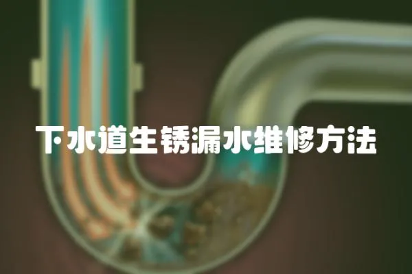 下水道生銹漏水維修方法