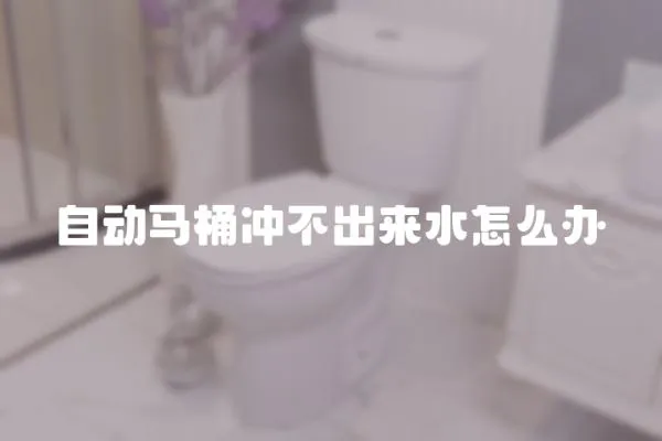 自動馬桶沖不出來水怎么辦