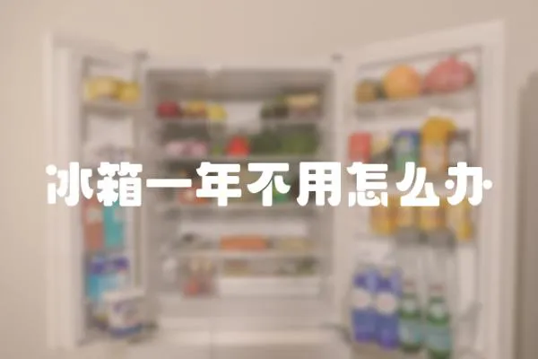 冰箱一年不用怎么辦