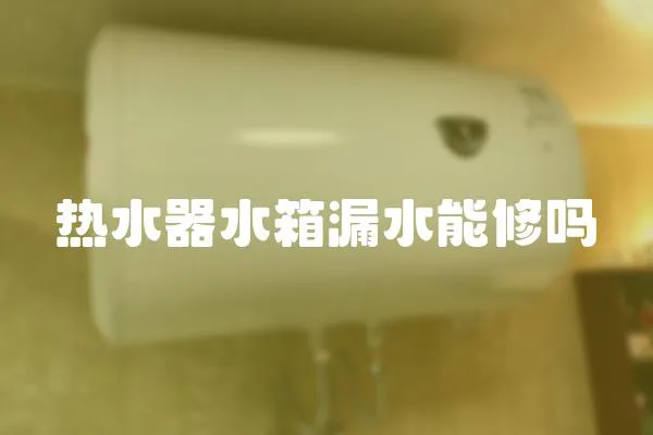 熱水器水箱漏水能修嗎
