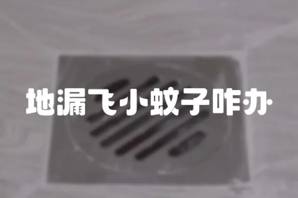 地漏飛小蚊子咋辦