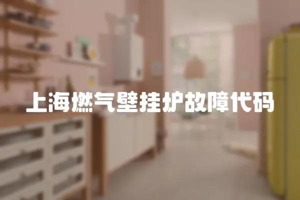 上海燃氣壁掛爐故障代碼