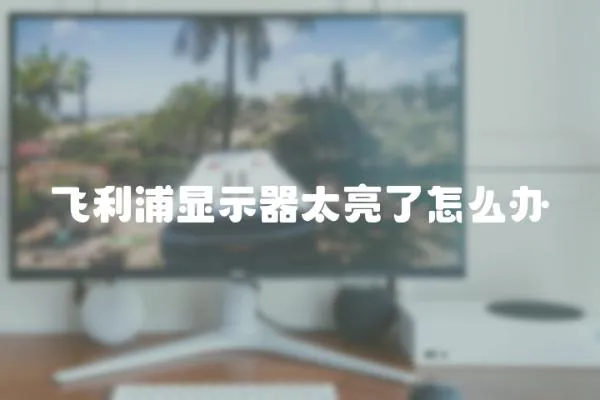 飛利浦顯示器太亮了怎么辦