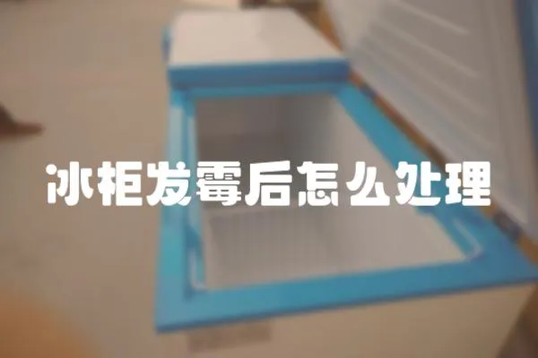冰柜發霉后怎么處理