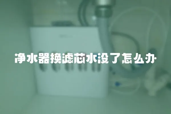 凈水器換濾芯水沒(méi)了怎么辦