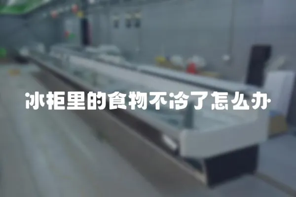 冰柜里的食物不冷了怎么辦
