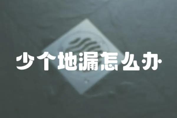 少個地漏怎么辦