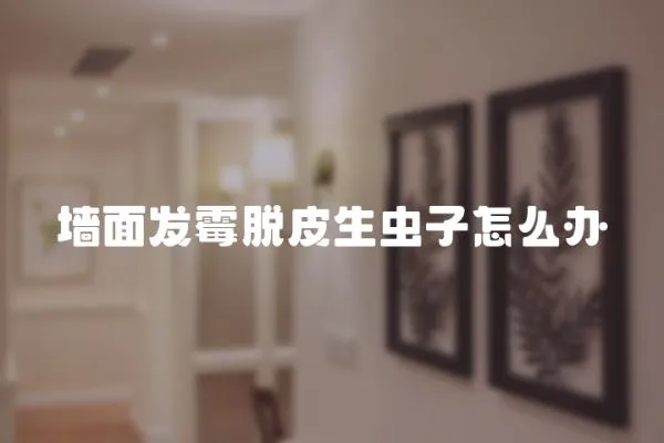 墻面發霉脫皮生蟲子怎么辦