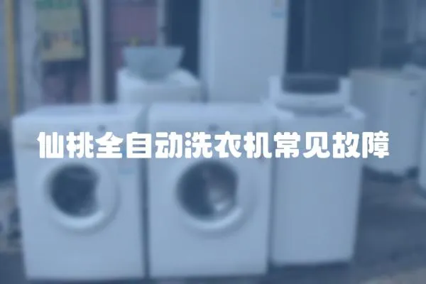 仙桃全自動洗衣機常見故障