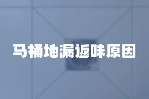 馬桶地漏返味原因