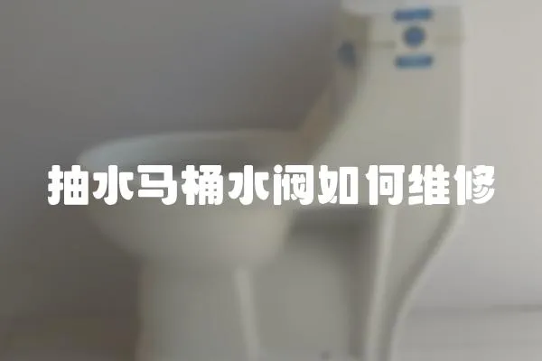 抽水馬桶水閥如何維修