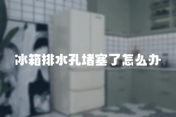 冰箱排水孔堵塞了怎么辦