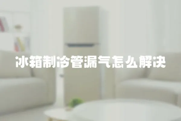 冰箱制冷管漏氣怎么解決