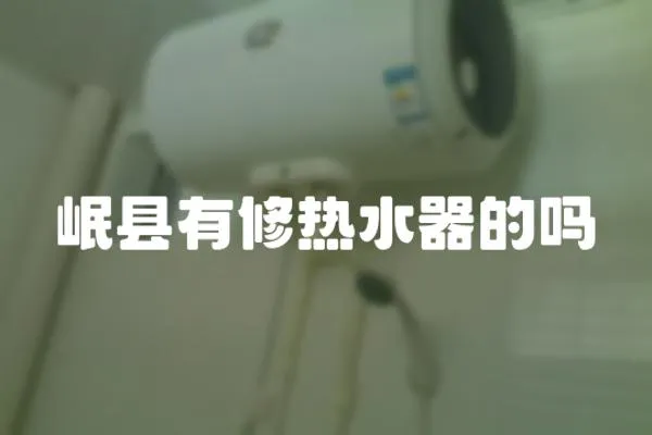 岷縣有修熱水器的嗎