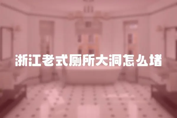 浙江老式廁所大洞怎么堵