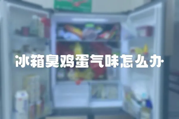冰箱臭雞蛋氣味怎么辦