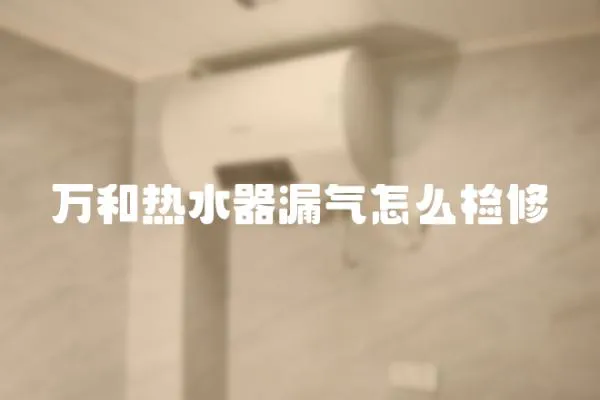 萬和熱水器漏氣怎么檢修
