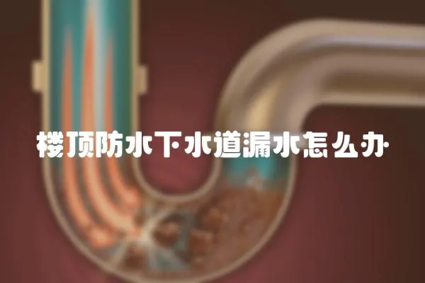 樓頂防水下水道漏水怎么辦