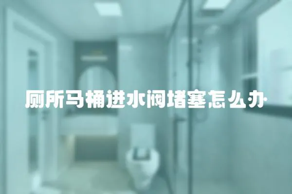 廁所馬桶進水閥堵塞怎么辦