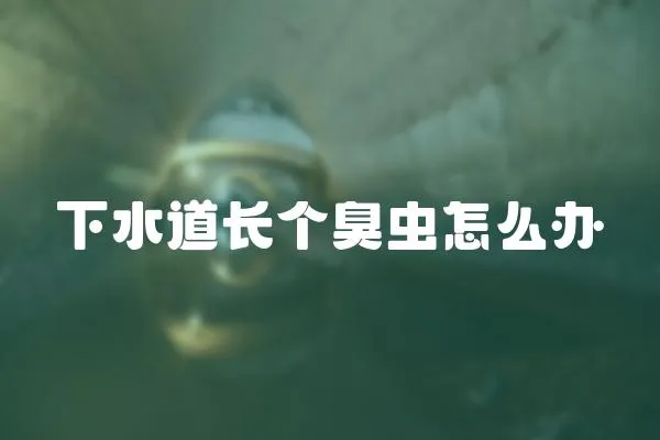 下水道長(zhǎng)個(gè)臭蟲怎么辦
