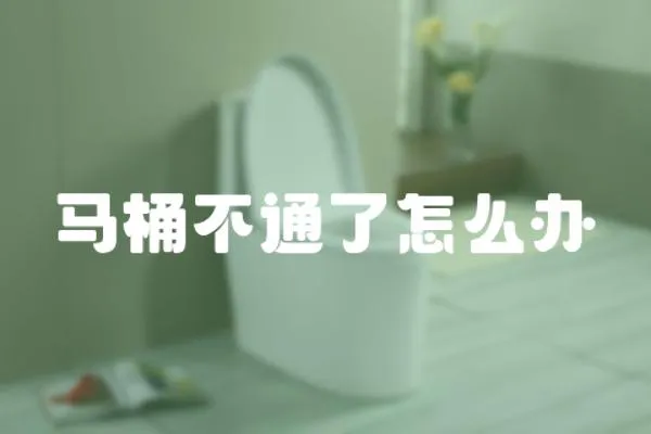 馬桶不通了怎么辦