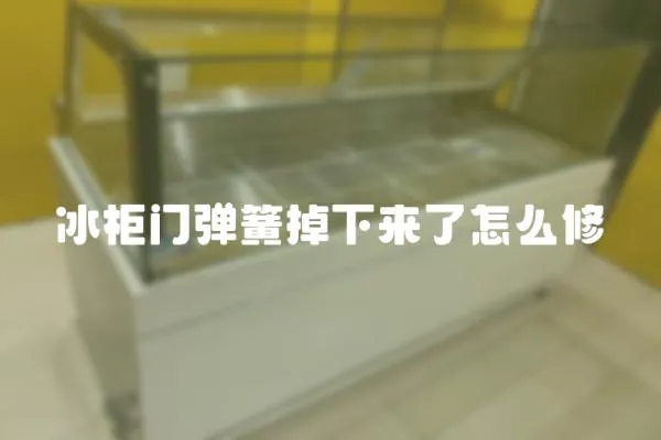 冰柜門彈簧掉下來了怎么修