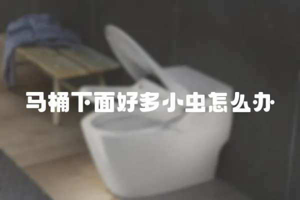 馬桶下面好多小蟲怎么辦