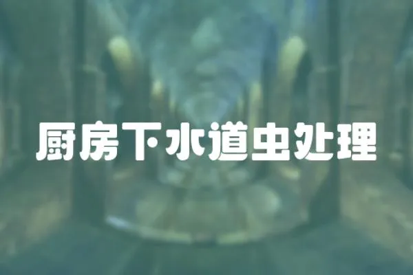 廚房下水道蟲處理