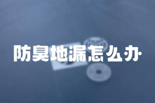 防臭地漏怎么辦