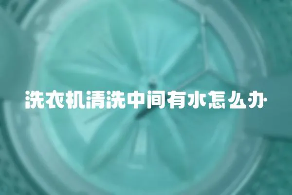洗衣機(jī)清洗中間有水怎么辦