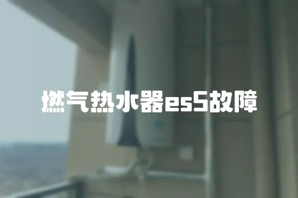 燃?xì)鉄崴鱡s5故障