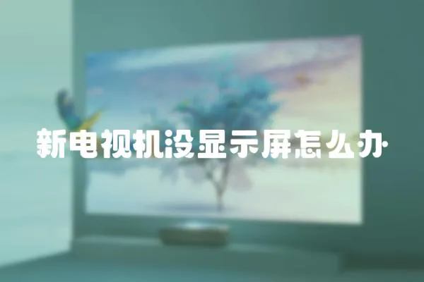 新電視機沒顯示屏怎么辦