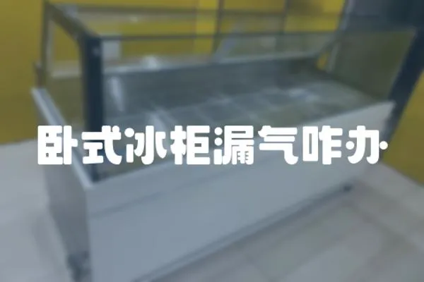 臥式冰柜漏氣咋辦