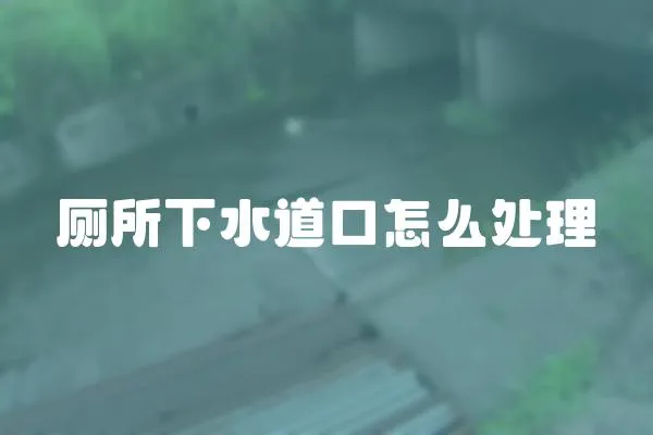 廁所下水道口怎么處理