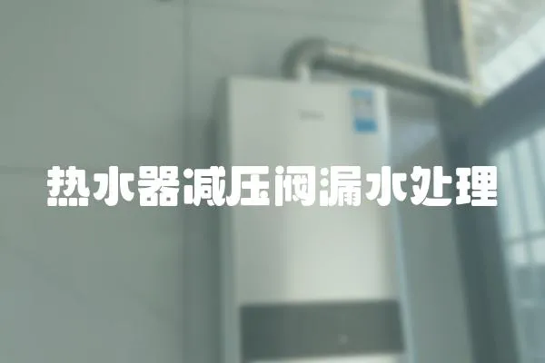 熱水器減壓閥漏水處理
